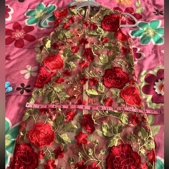 NWOT WANT MY LOOK SEE THROUGH DRESS SIZE S - Picture 10 of 14